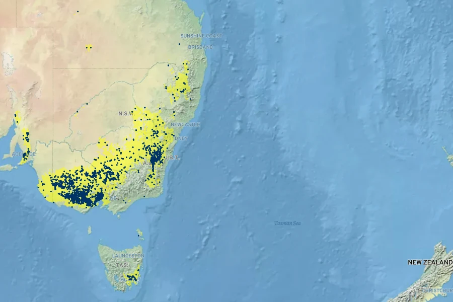 Eryngium ovinum Native Range