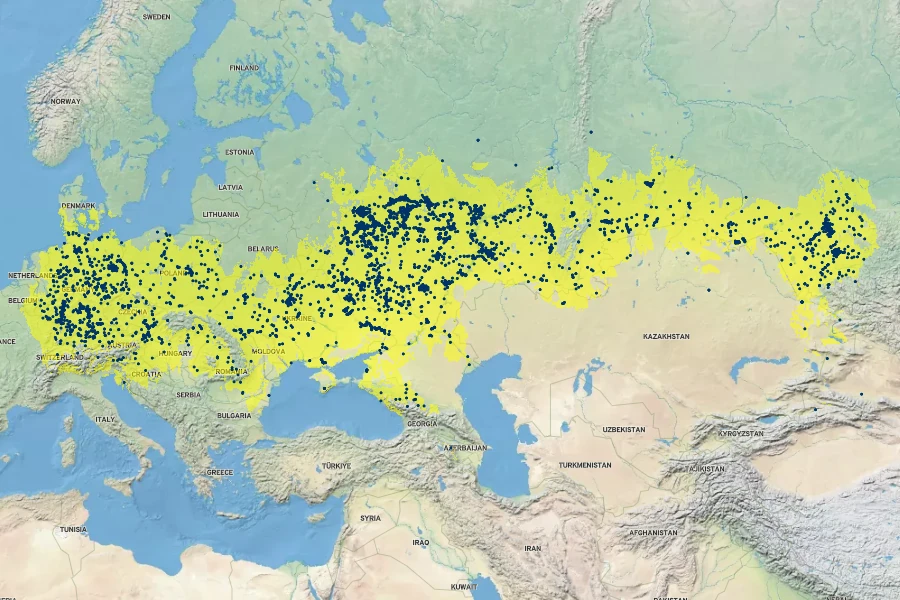 Eryngium planum Native Range
