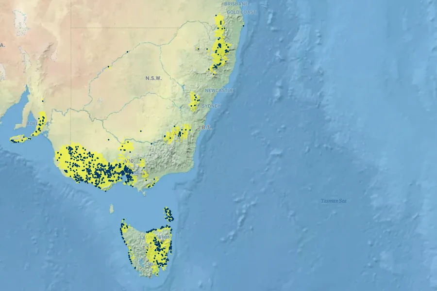 Eryngium vesiculosum Native Range