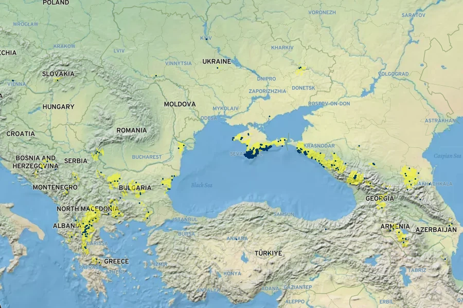 Erysimum cuspidatum Native Range