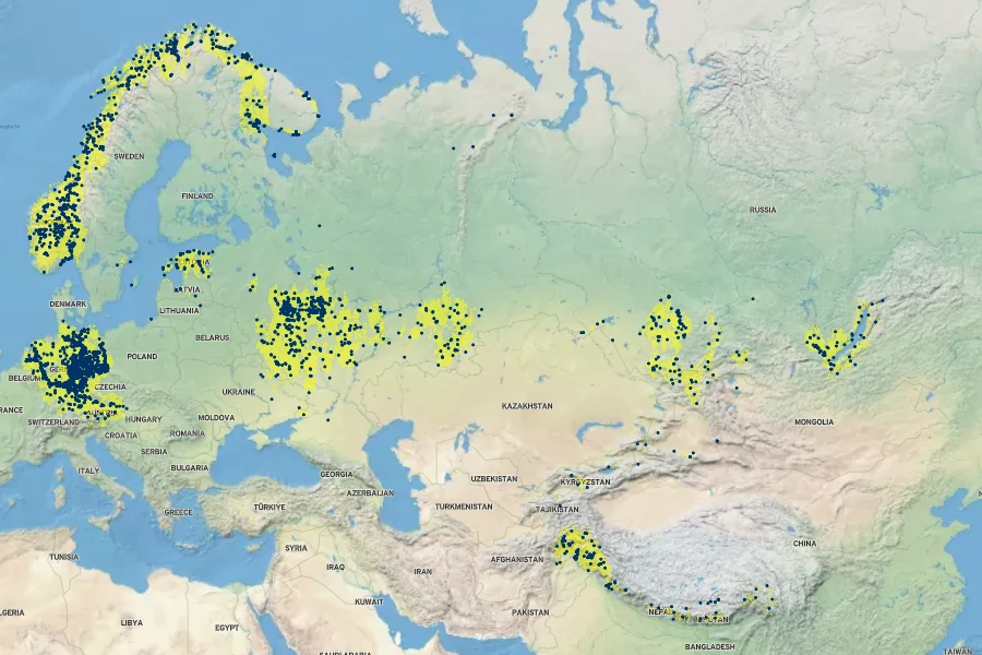 Erysimum hieraciifolium Native Range