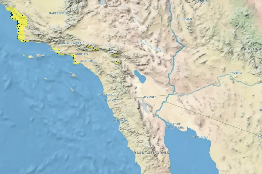 Erysimum suffrutescens Native Range