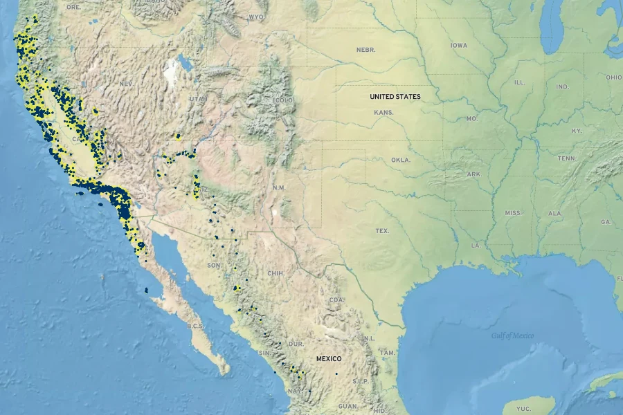 Erythranthe cardinalis Native Range