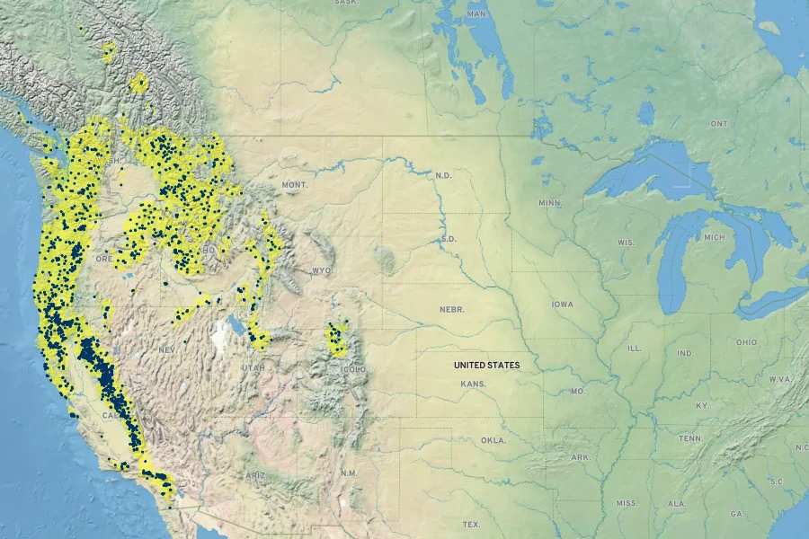 Erythranthe moschata Native Range