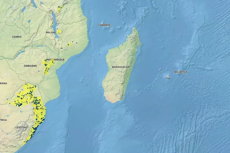 Erythrina lysistemon Native Range