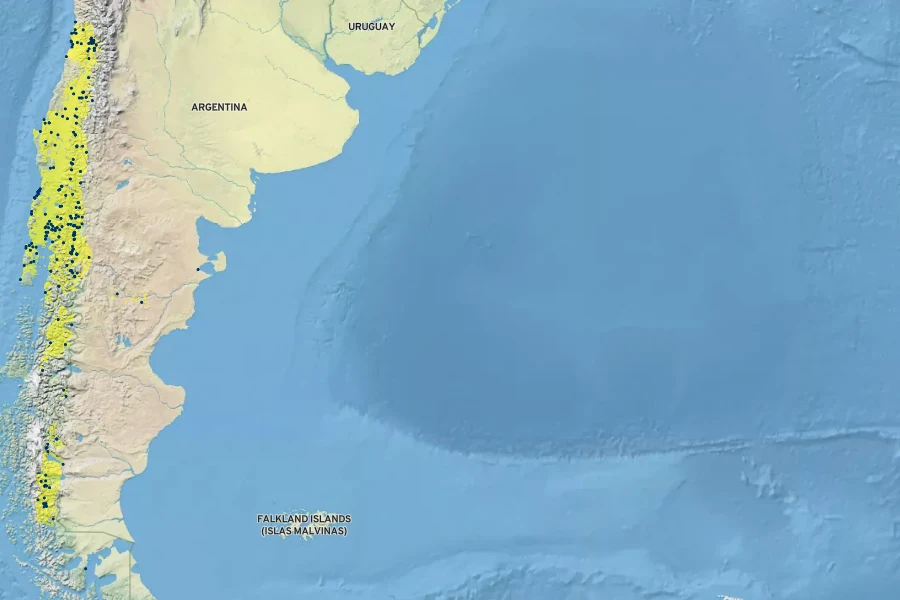 Escallonia rubra Native Range