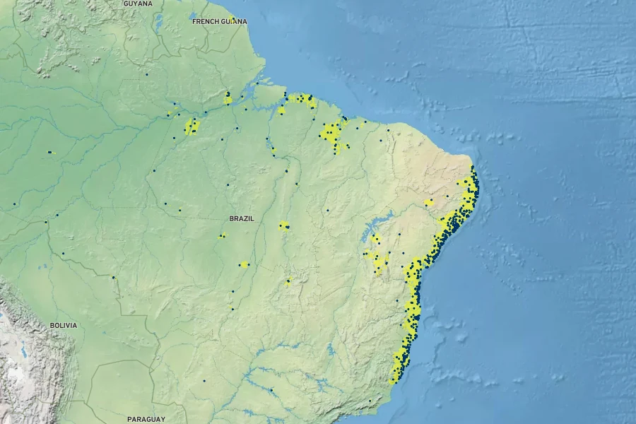 Eschweilera ovata Native Range