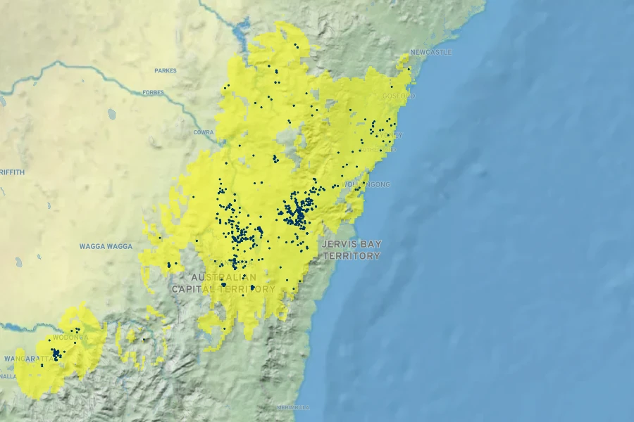 Eucalyptus cinerea Native Range