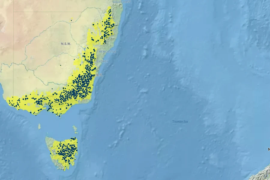 Eucalyptus pauciflora Native Range