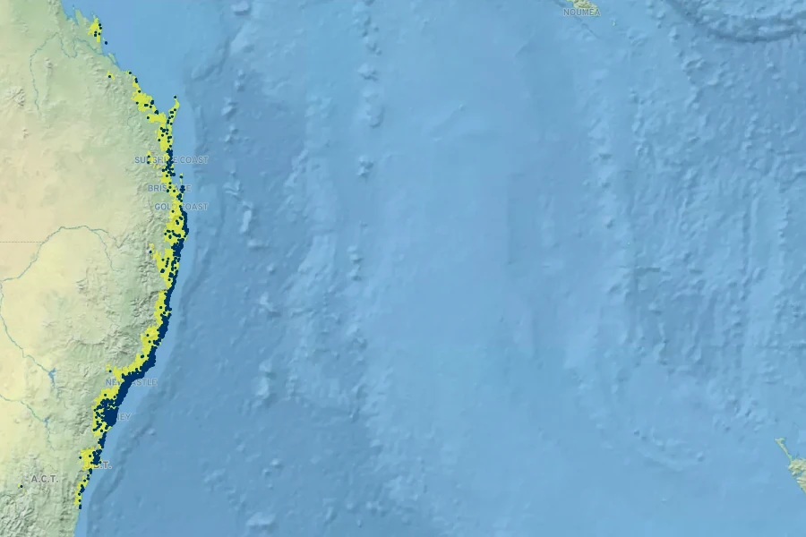 Eucalyptus robusta Native Range