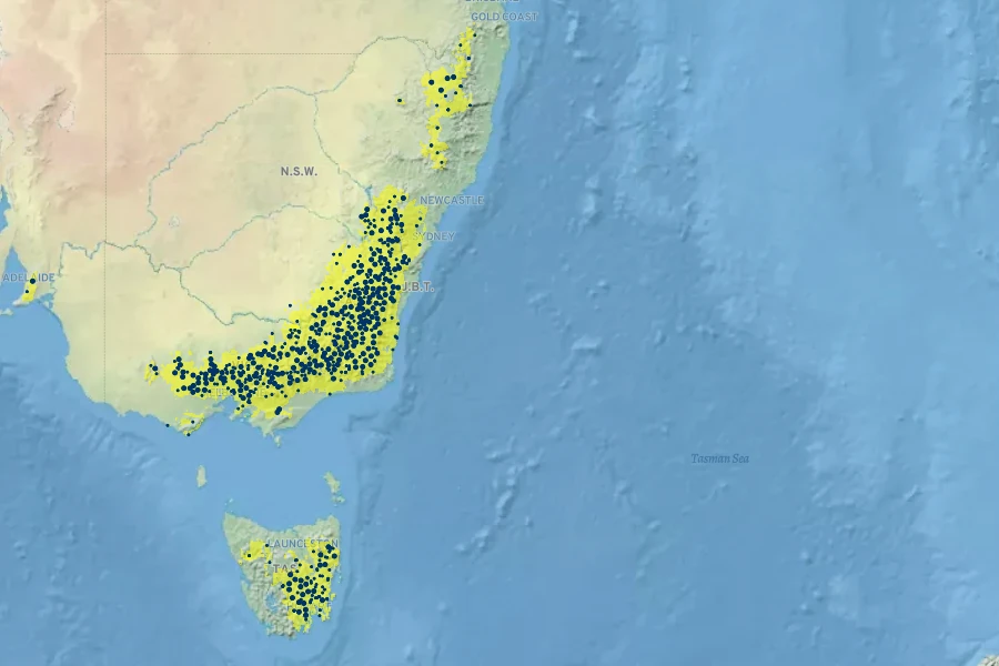 Eucalyptus rubida Native Range
