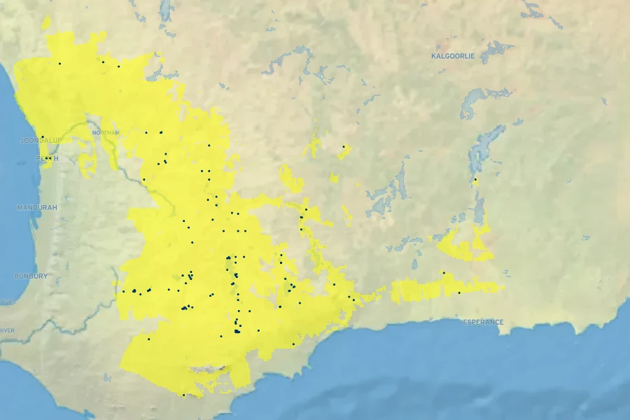 Eucalyptus spathulata Native Range