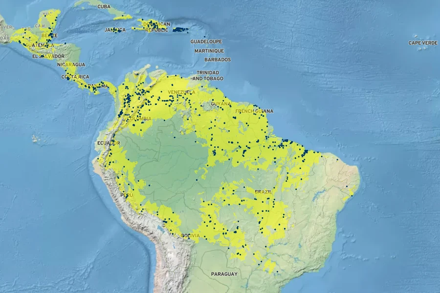 Eugenia biflora Native Range
