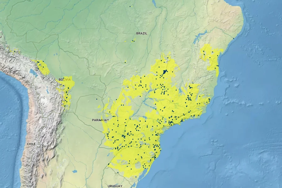 Eugenia involucrata Native Range