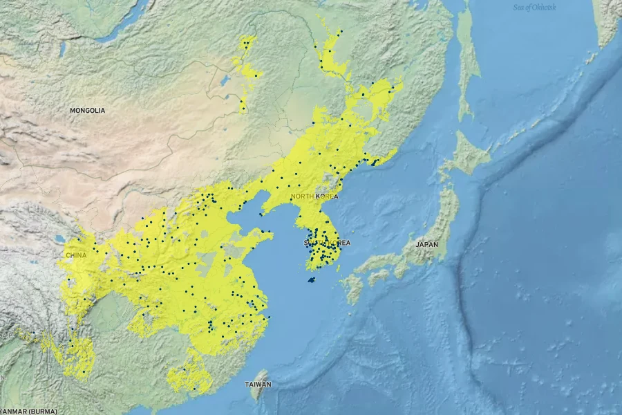 Euonymus maackii Native Range