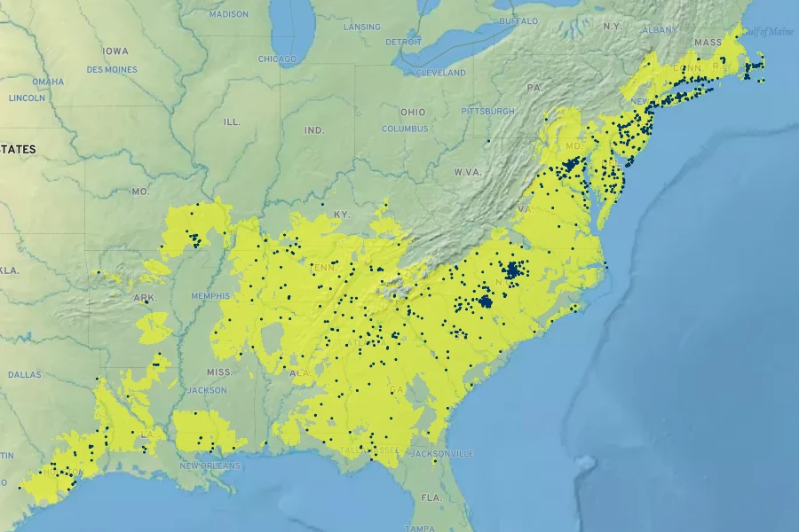 Eupatorium hyssopifolium Native Range