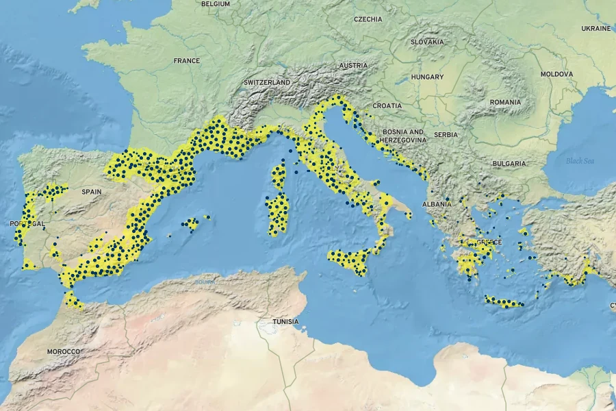 Euphorbia characias Native Range
