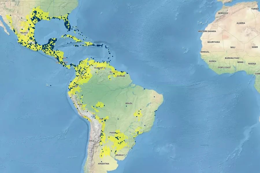 Euphorbia hypericifolia Native Range