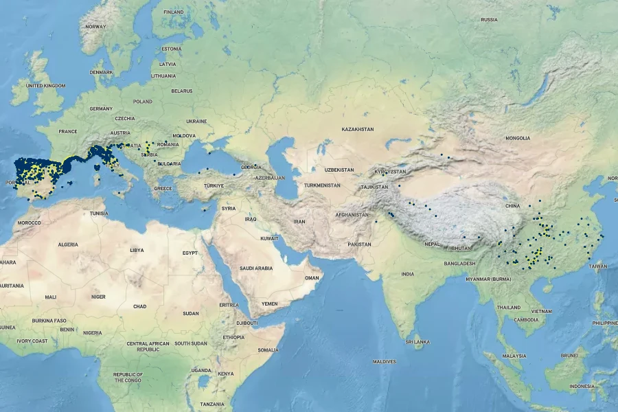 Euphorbia lathyris Native Range