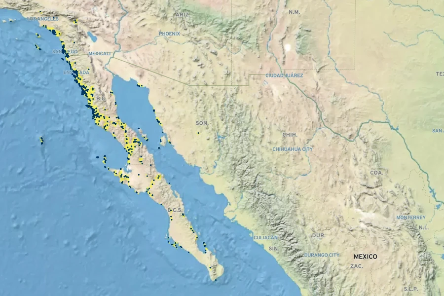 Euphorbia misera Native Range