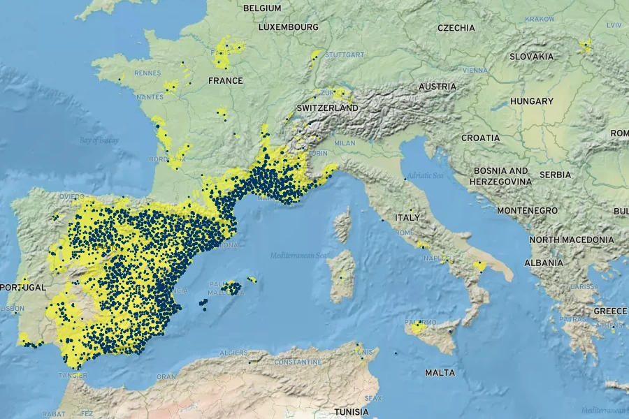 Euphorbia serrata Native Range