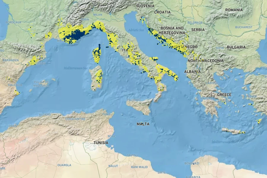 Euphorbia spinosa Native Range
