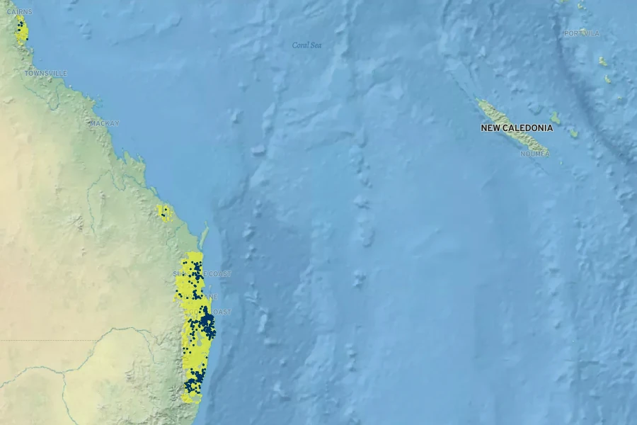 Eupomatia bennettii Native Range