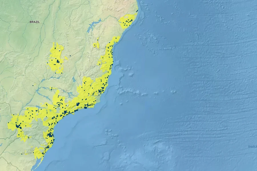 Euterpe edulis Native Range