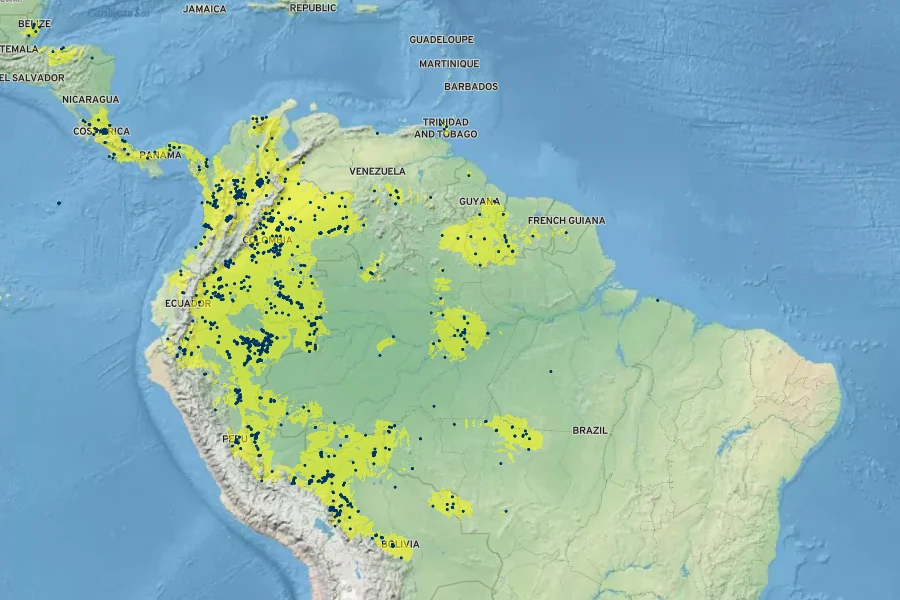 Euterpe precatoria Native Range