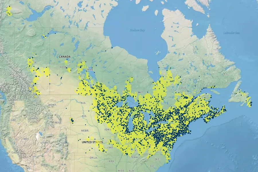 Euthamia graminifolia Native Range