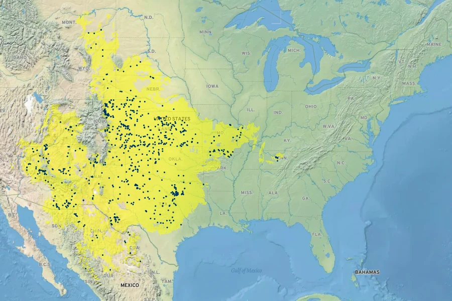 Evolvulus nuttallianus Native Range