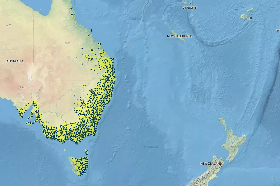 Exocarpos cupressiformis Native Range