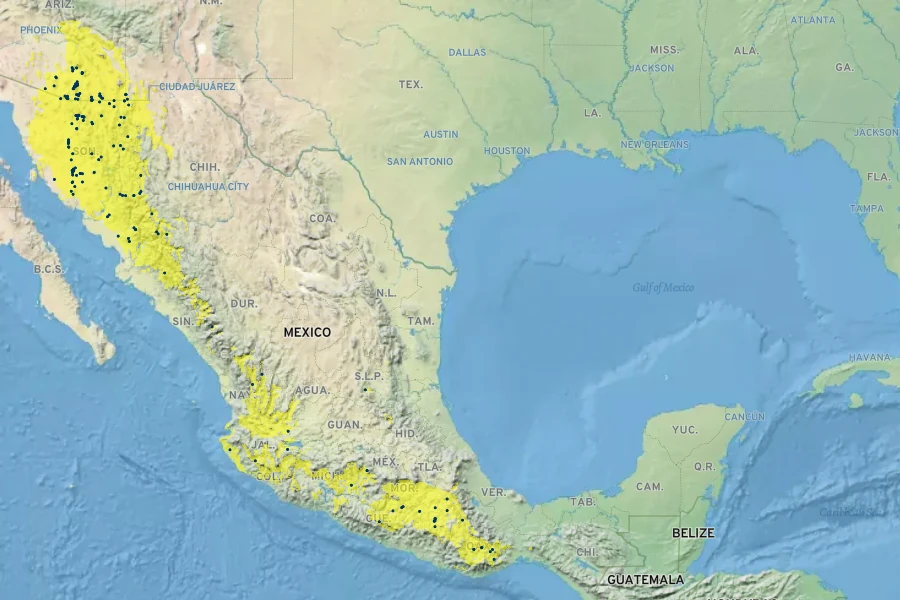 Eysenhardtia orthocarpa Native Range