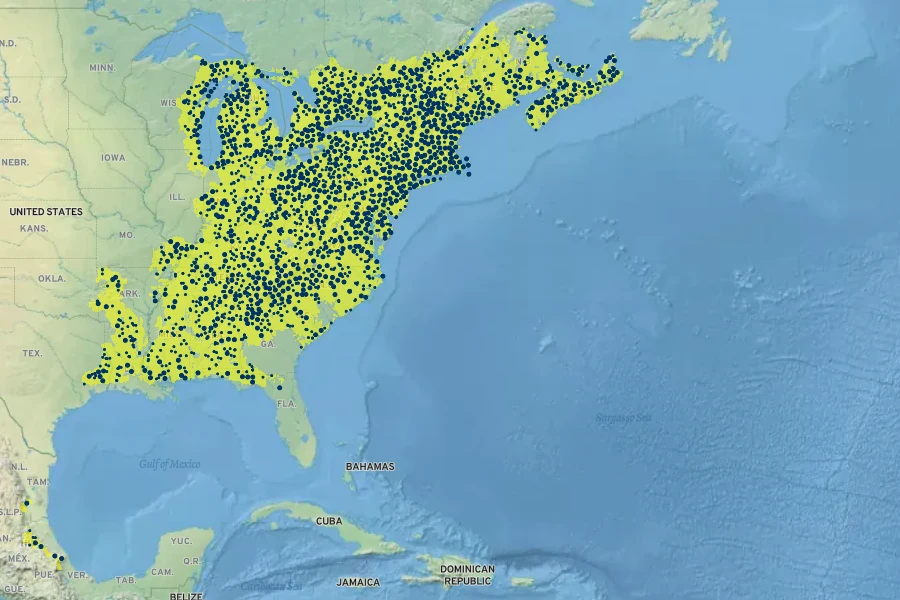 Fagus grandifolia Native Range