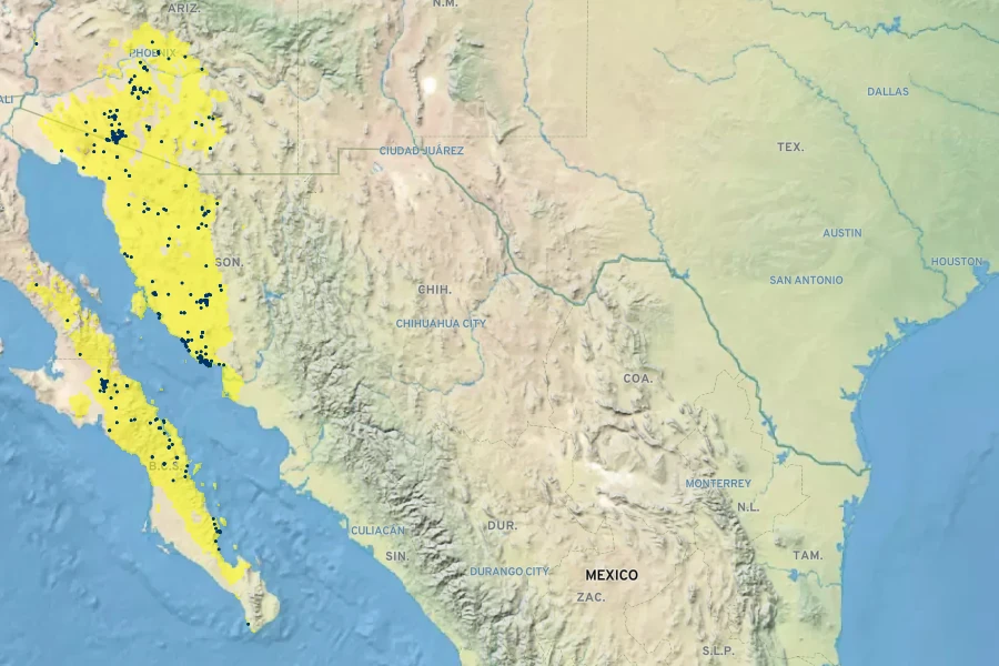 Ferocactus emoryi Native Range