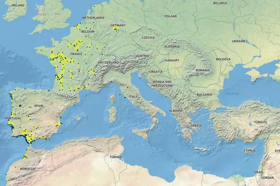 Festuca alopecuros Native Range