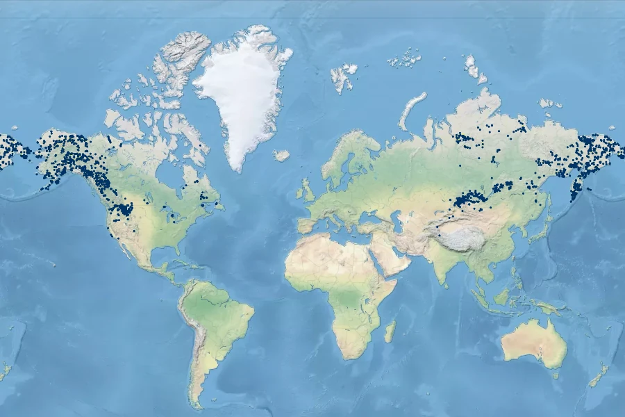 Festuca altaica Native Range
