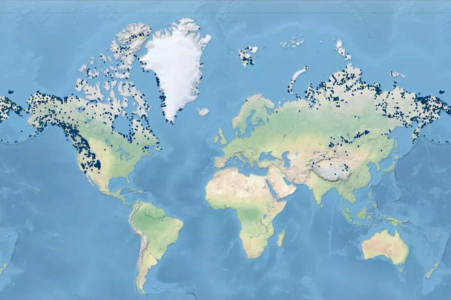 Festuca brachyphylla Native Range
