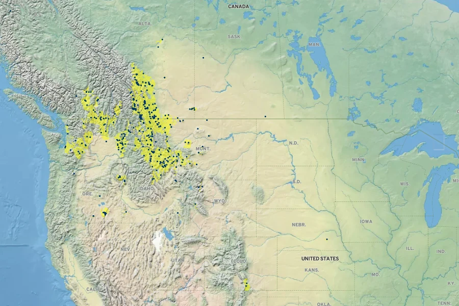 Festuca campestris Native Range