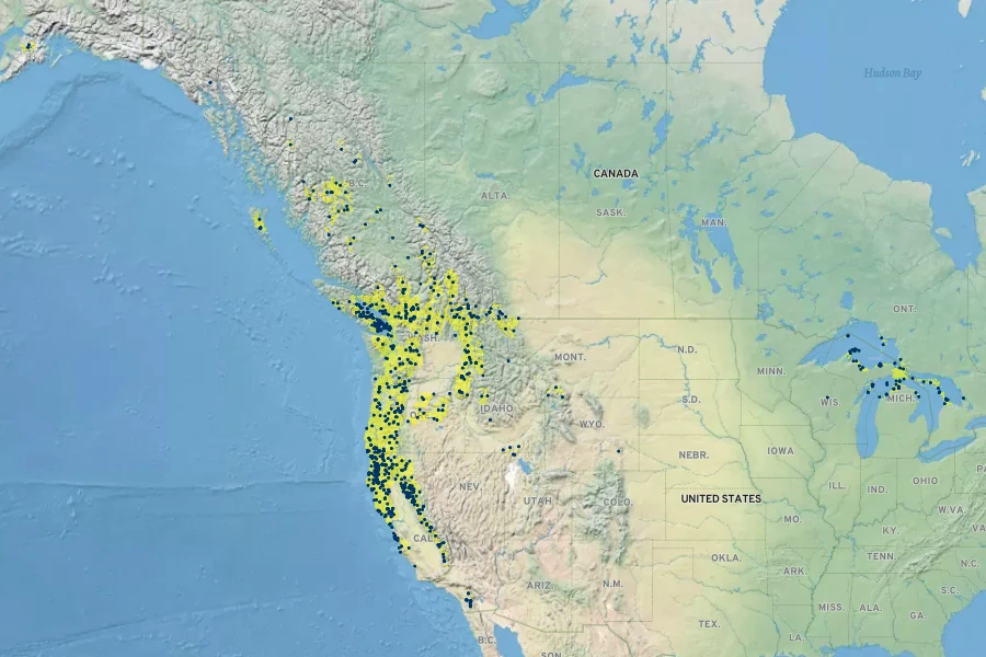 Festuca occidentalis Native Range