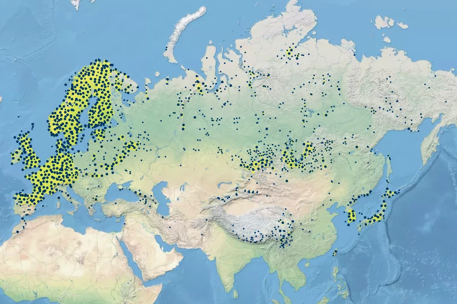 Festuca ovina Native Range
