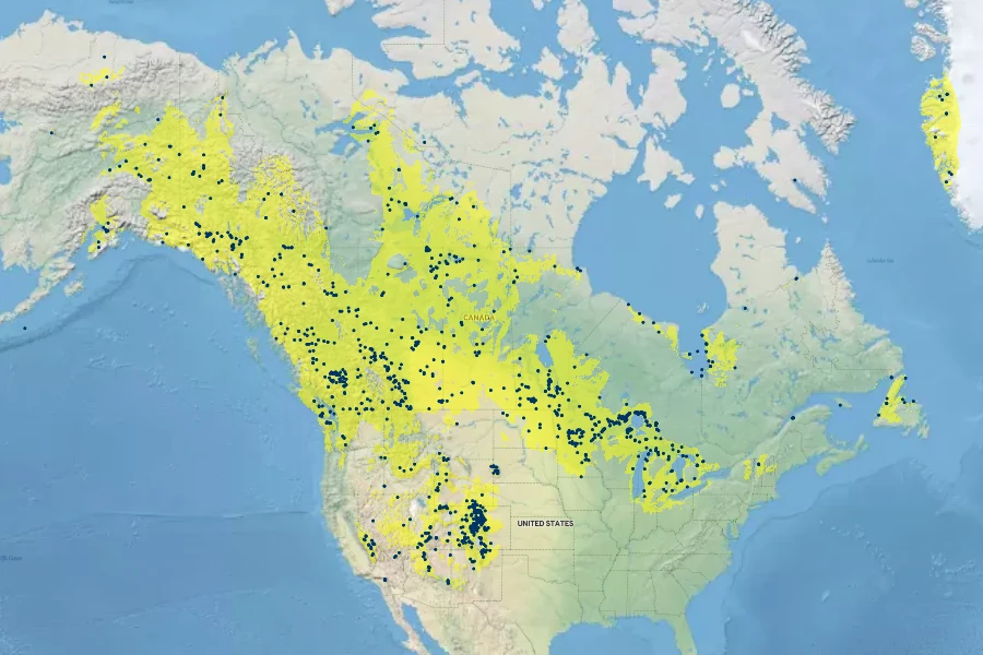 Festuca saximontana Native Range