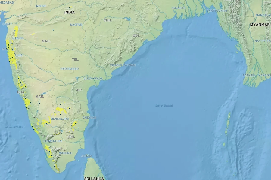 Ficus arnottiana Native Range