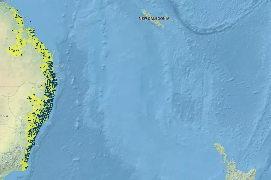 Ficus coronata Native Range