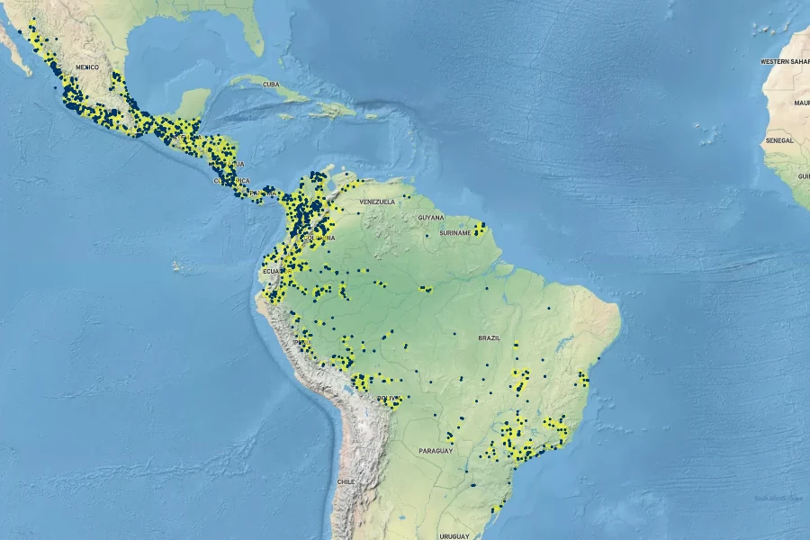 Ficus insipida Native Range