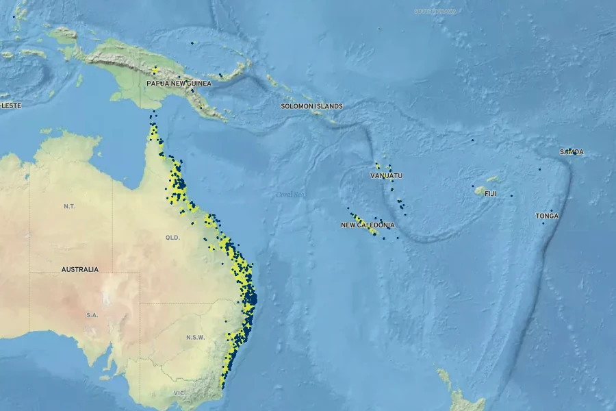 Ficus obliqua Native Range