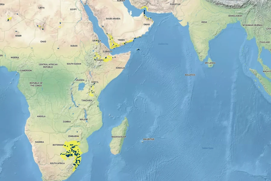 Ficus salicifolia Native Range