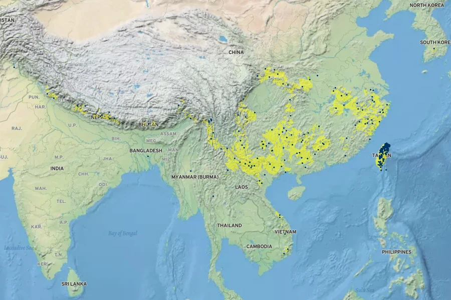 Ficus sarmentosa Native Range