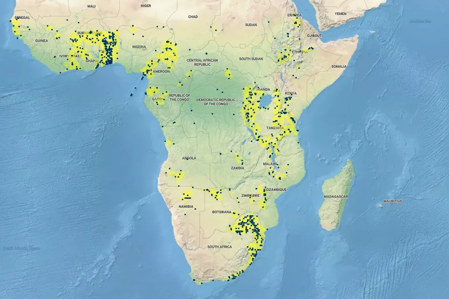 Ficus thonningii Native Range