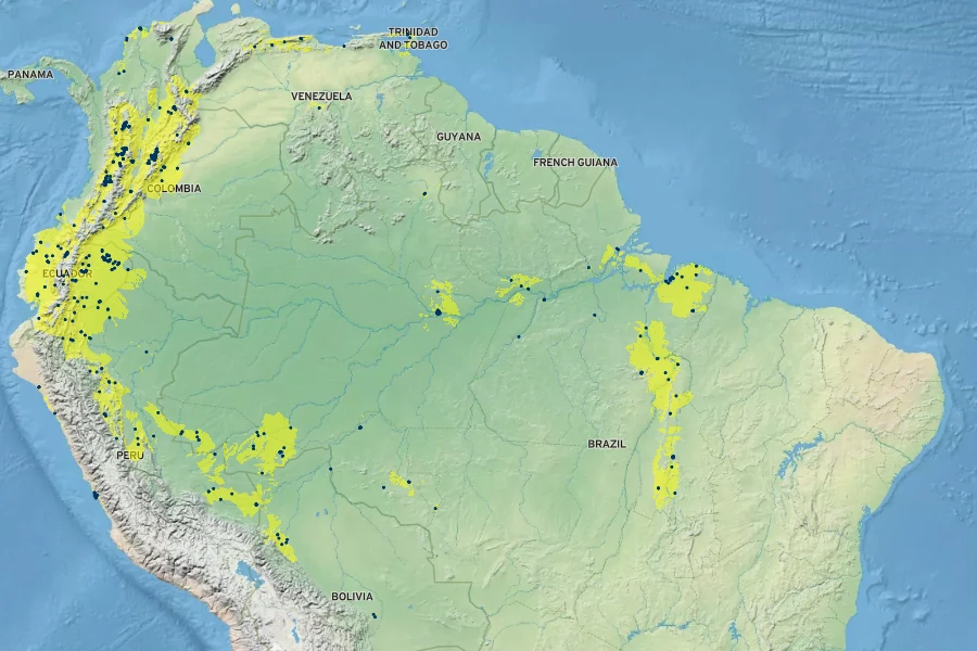 Fittonia albivenis Native Range